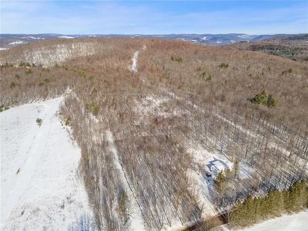 $329,000 | Hollenbeck Road, Worcester, NY 12197