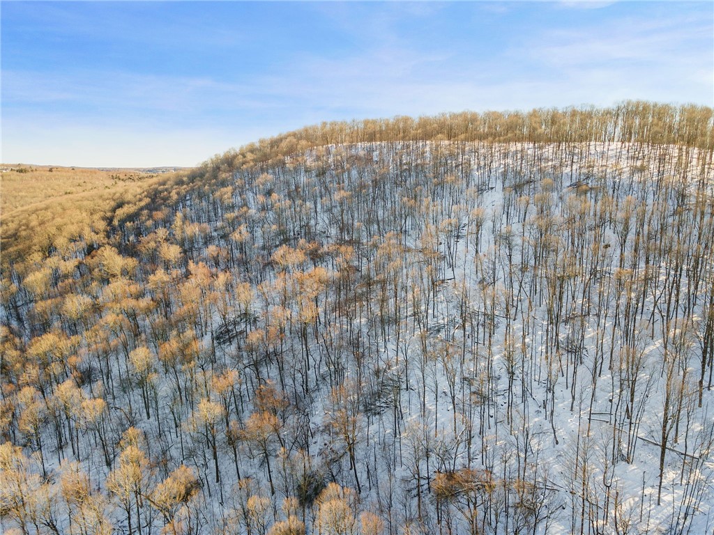 Hollenbeck Road Worcester, NY 12197 - Photo 14 of 24