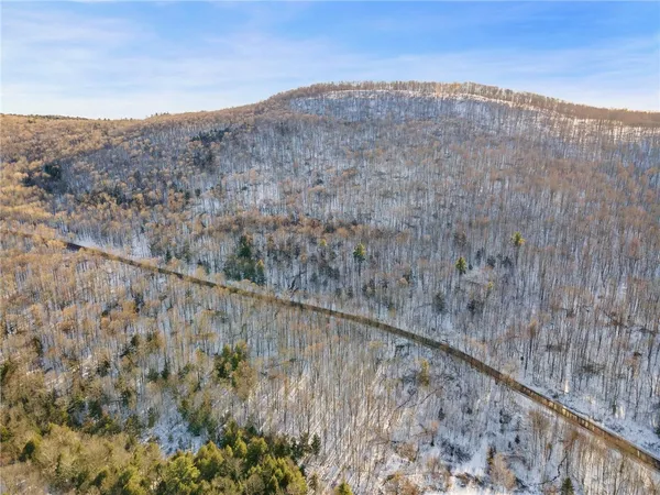 $329,000 | Hollenbeck Road, Worcester, NY 12197