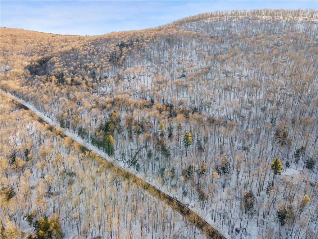 Hollenbeck Road Worcester, NY 12197 - Photo 16 of 24