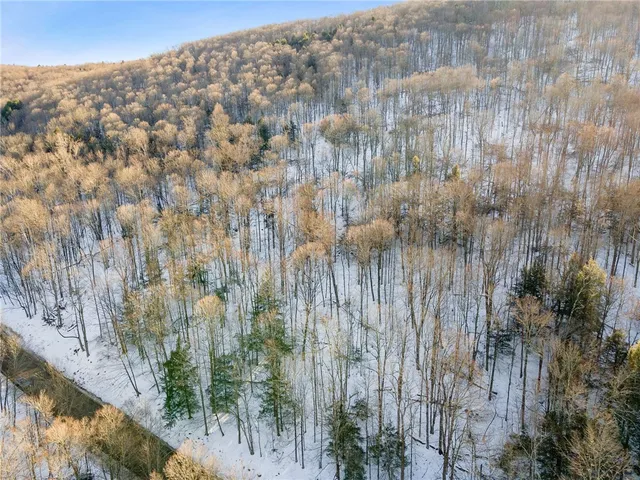 $329,000 | Hollenbeck Road, Worcester, NY 12197