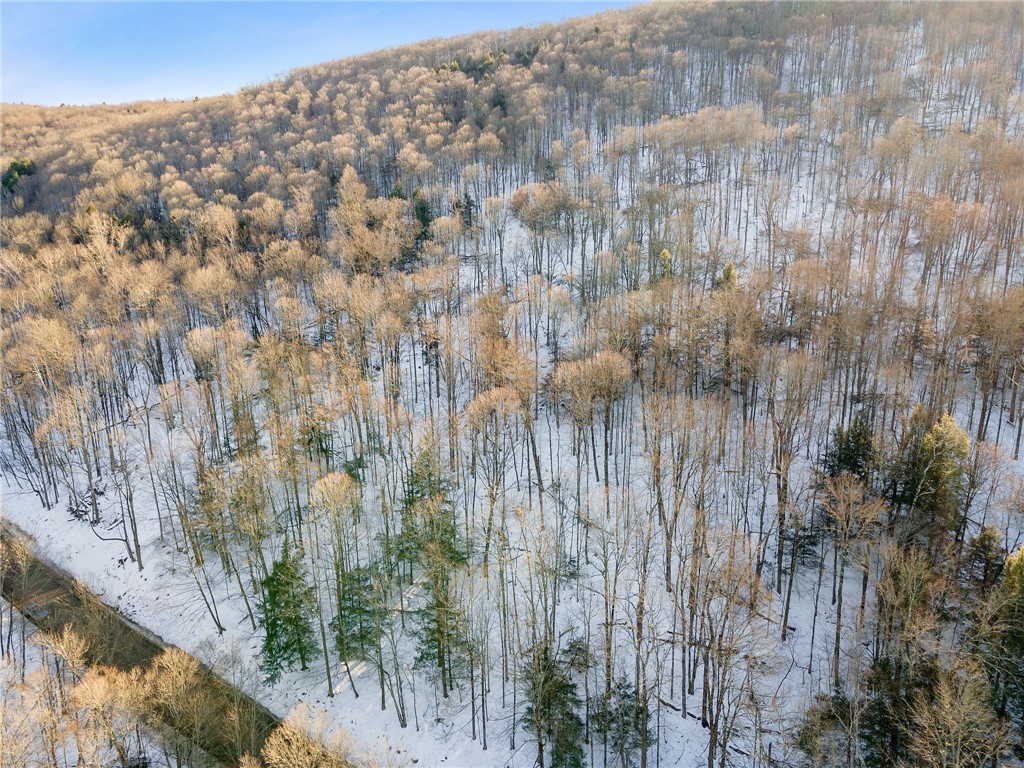 Hollenbeck Road Worcester, NY 12197 - Photo 17 of 24