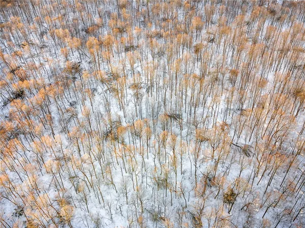 $329,000 | Hollenbeck Road, Worcester, NY 12197