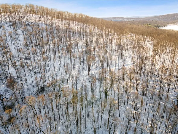 $329,000 | Hollenbeck Road, Worcester, NY 12197