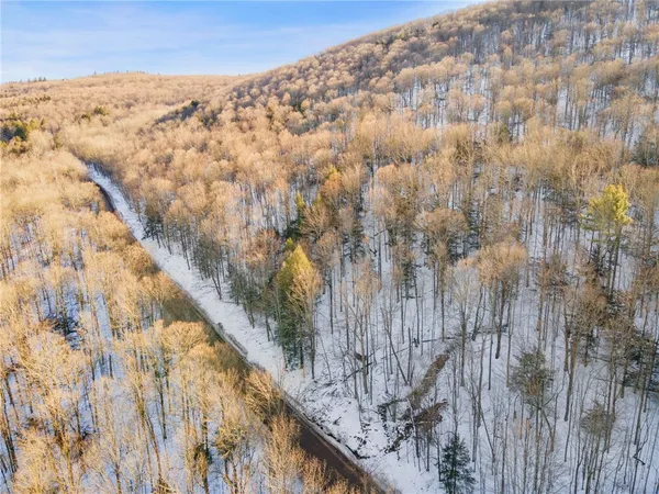 $329,000 | Hollenbeck Road, Worcester, NY 12197