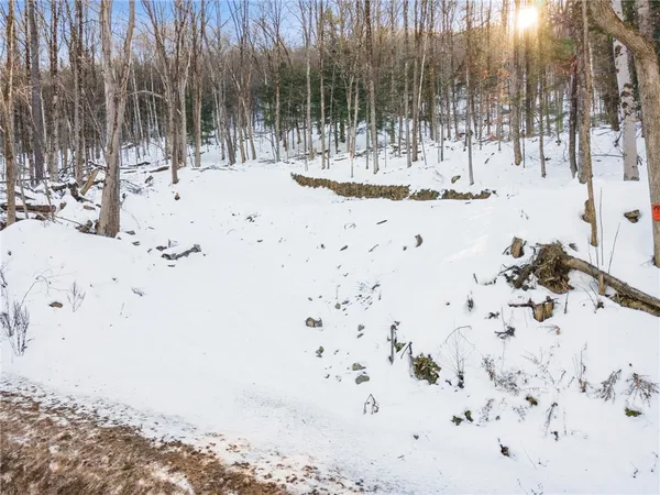 $329,000 | Hollenbeck Road, Worcester, NY 12197