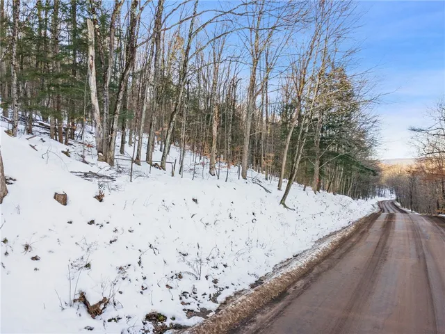 $329,000 | Hollenbeck Road, Worcester, NY 12197