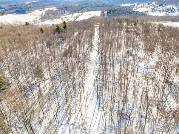 $329,000 | Hollenbeck Road, Worcester, NY 12197