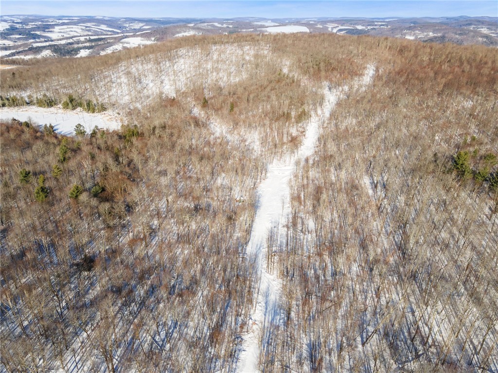 Hollenbeck Road Worcester, NY 12197 - Photo 6 of 24