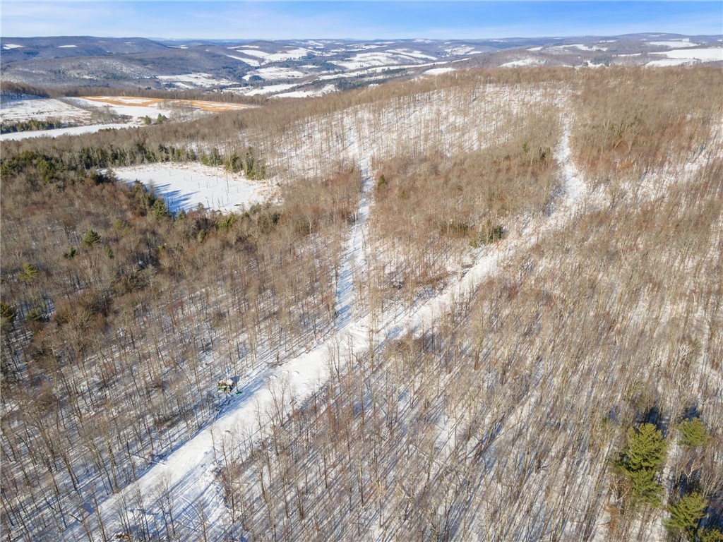 Hollenbeck Road Worcester, NY 12197 - Photo 7 of 24