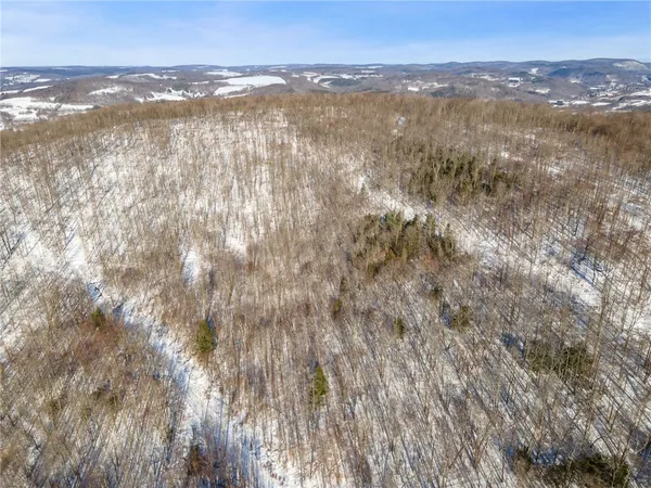 $329,000 | Hollenbeck Road, Worcester, NY 12197