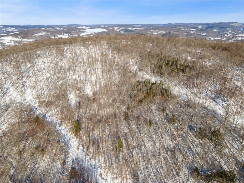 Hollenbeck Road Worcester, NY 12197 - Photo 8 of 24