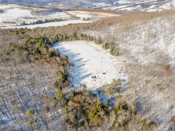 $329,000 | Hollenbeck Road, Worcester, NY 12197