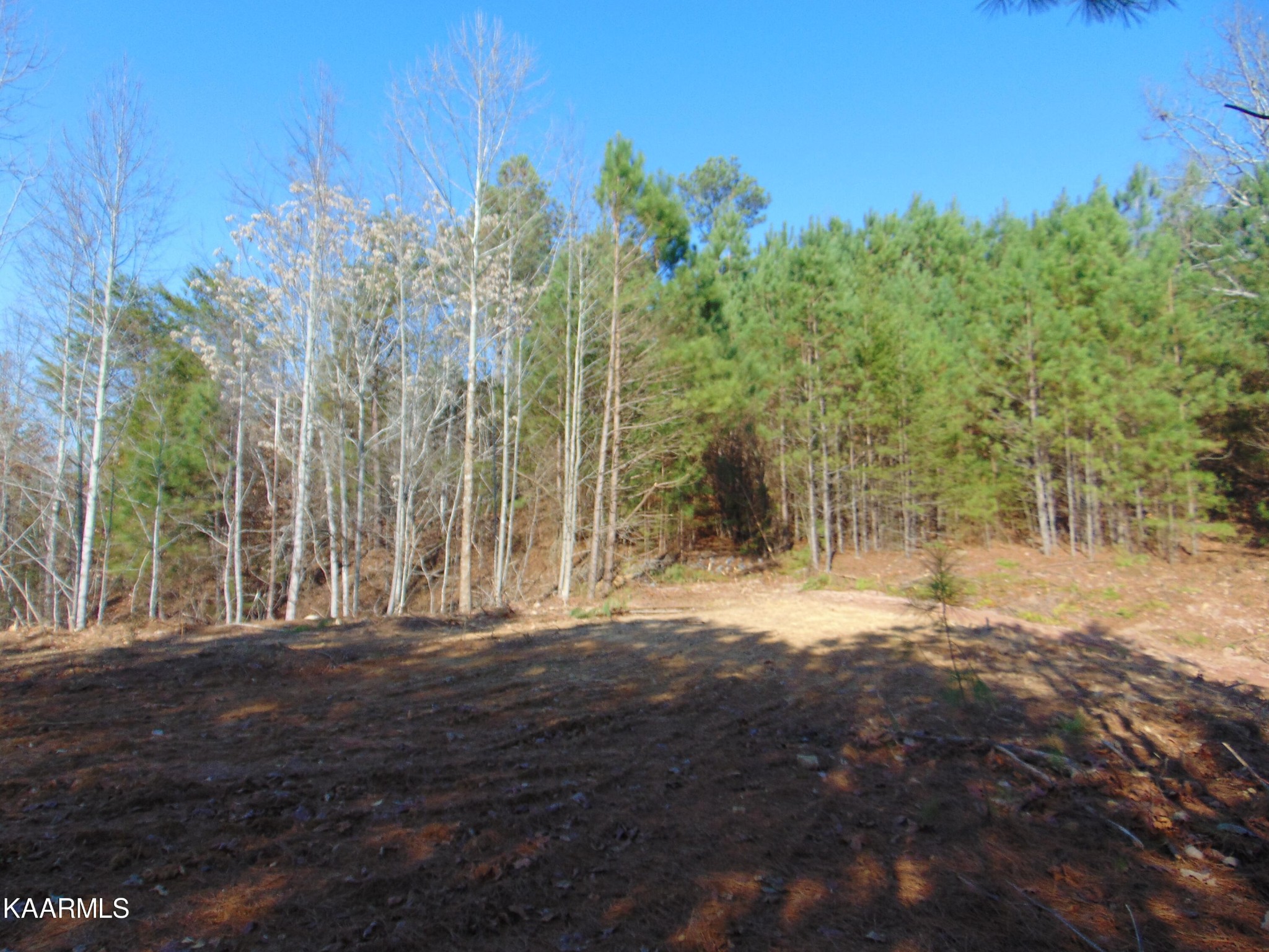 738 Lamontville Road Decatur, TN 37322 - Photo 60 of 60