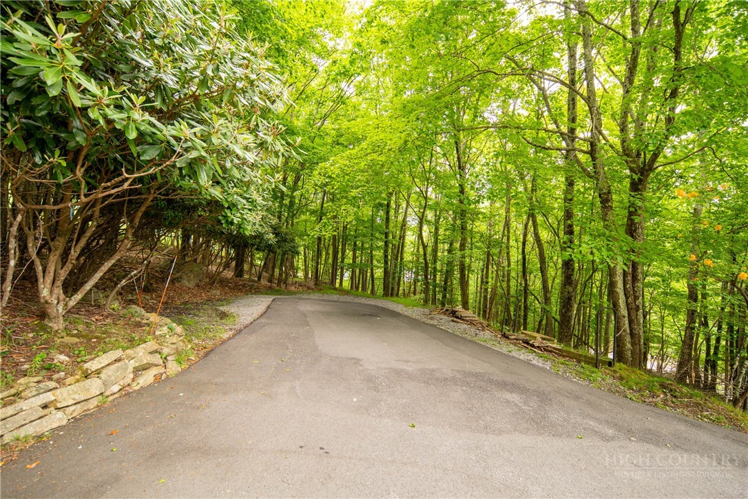 501 St Andrews Road Beech Mountain, NC 28604 - Photo 42 of 46