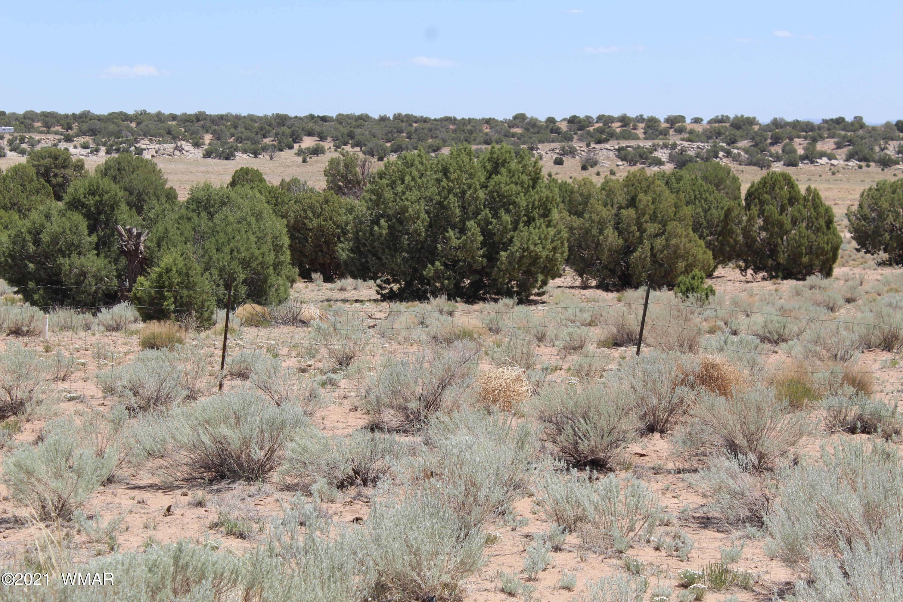 18 N9312 Road Concho, AZ 85924 - Photo 4 of 55