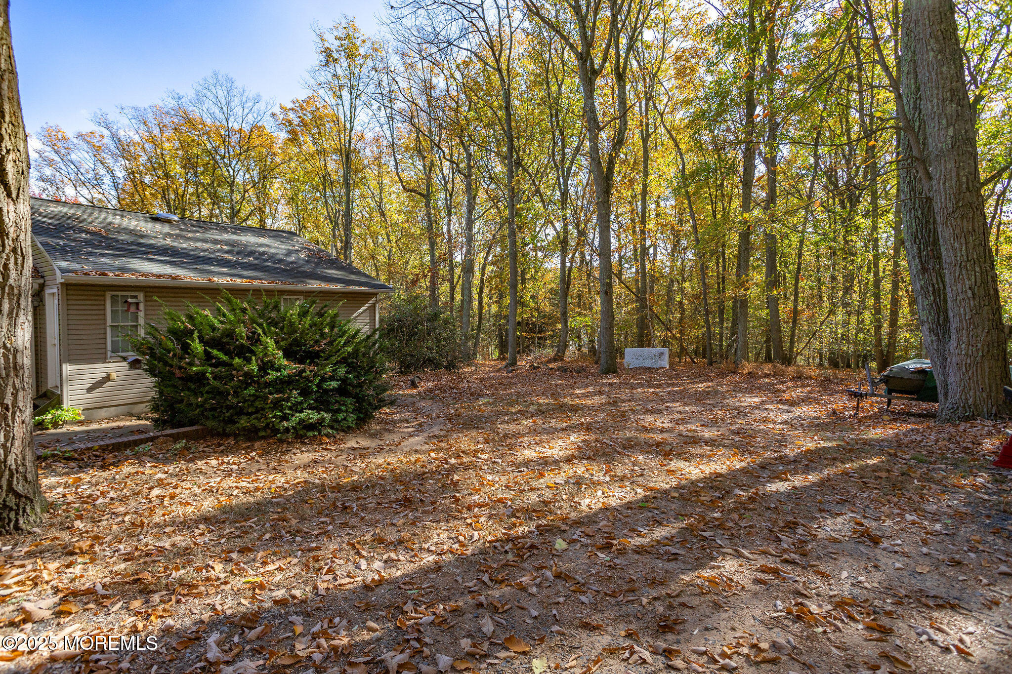 3 Tower Road Allentown, NJ 08501 - Photo 42 of 49 a view of house with backyard and trees