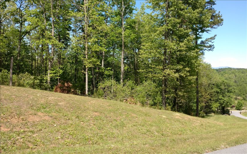 3 Point Overlook Trail Murphy, NC 28906 - Photo 1 of 1 a view of a yard with a tree