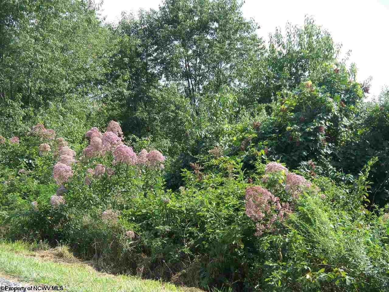29-30 Ridgeview Jane Lew, WV 26378 - Photo 6 of 9 Gallery Image 6