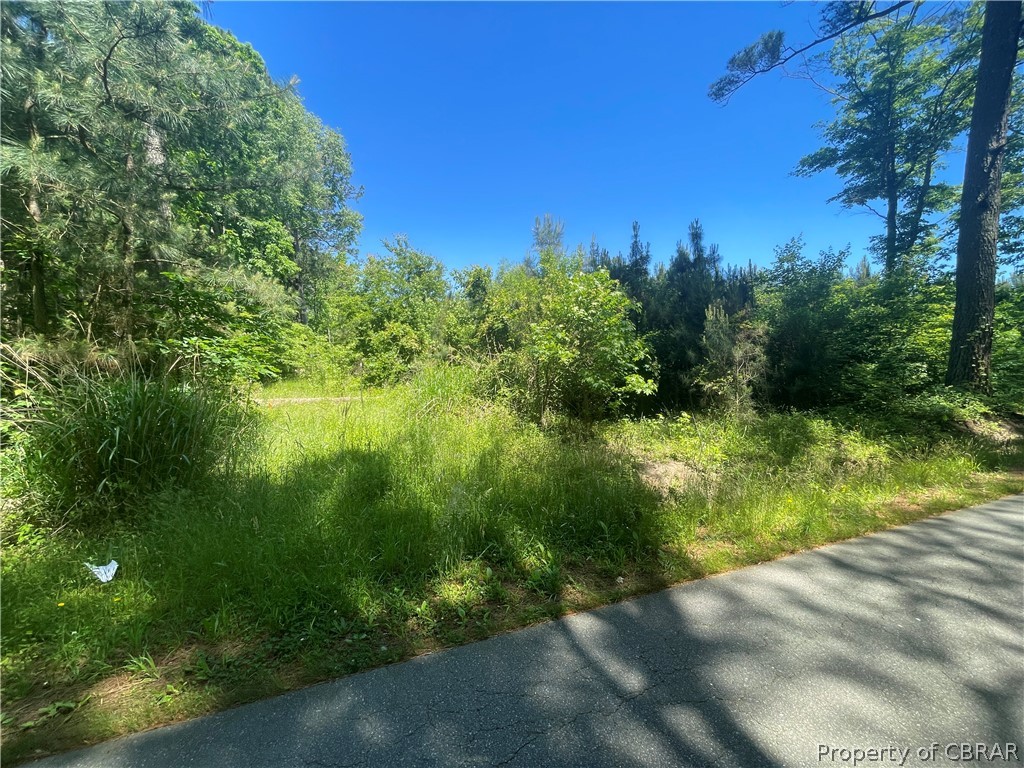 16-ac Ridge Road Cobbs Creek, VA 23035 - Photo 9 of 43 View of road