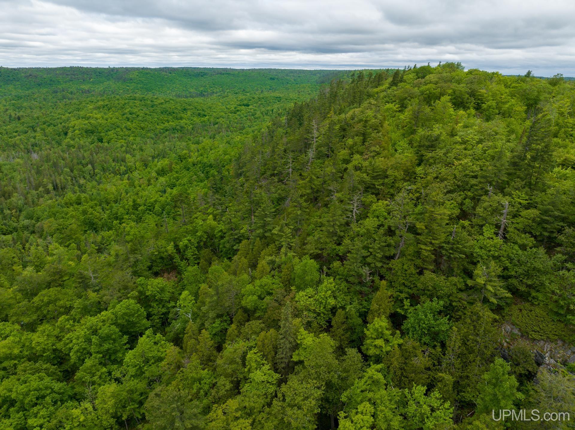 Tbd Tbd Co Road Negaunee, MI 49866 - Photo 8 of 47