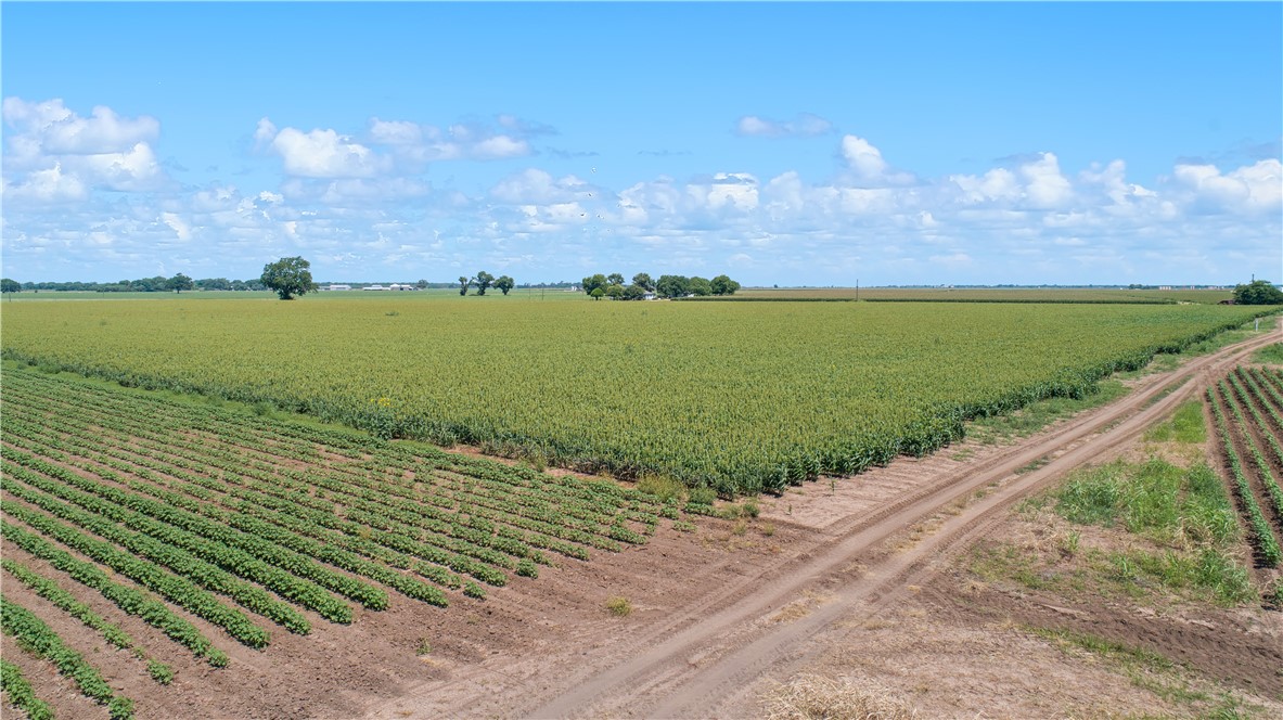 12485 Sandy Point Road Bryan, TX 77807 - Photo 1 of 14