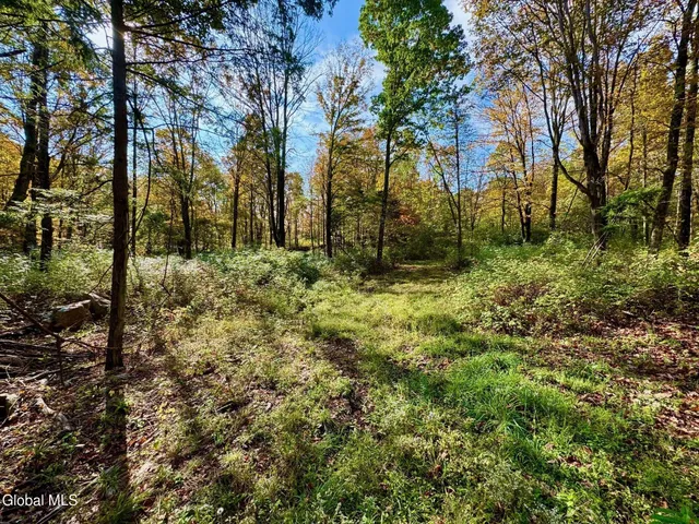 $450,000 | 1633 Upper Turnpike, Whitehall, NY 12887