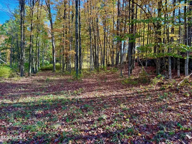 $450,000 | 1633 Upper Turnpike, Whitehall, NY 12887