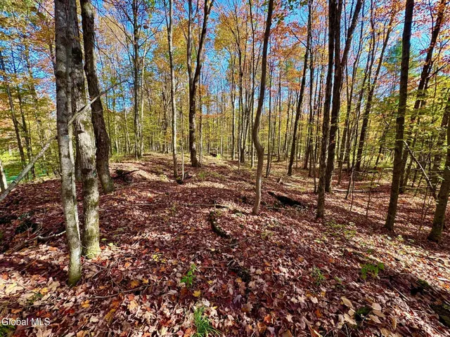 $450,000 | 1633 Upper Turnpike, Whitehall, NY 12887