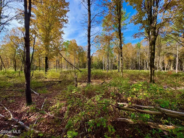 $450,000 | 1633 Upper Turnpike, Whitehall, NY 12887