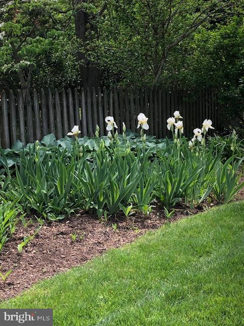 4716 Merivale Road Chevy Chase, MD 20815 - Photo 39 of 48 a view of a backyard with plants and wooden fence