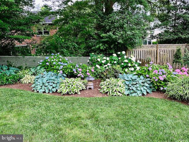 4716 Merivale Road Chevy Chase, MD 20815 - Photo 40 of 48
