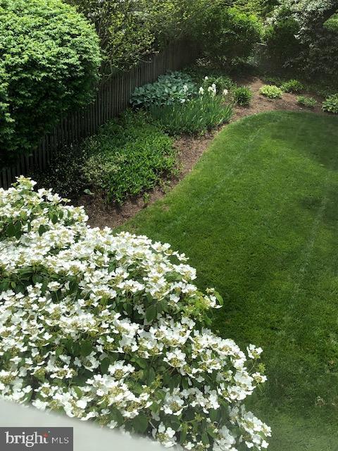 4716 Merivale Road Chevy Chase, MD 20815 - Photo 41 of 48 a view of a garden