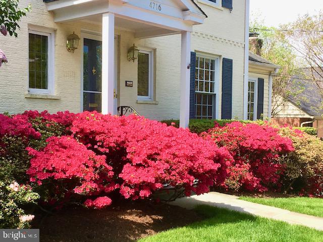 4716 Merivale Road Chevy Chase, MD 20815 - Photo 42 of 48 a view of a backyard of the house