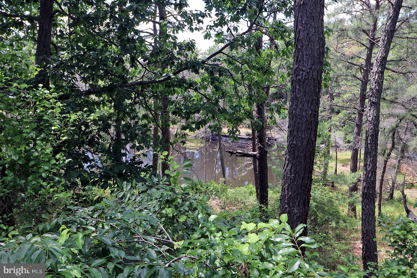 4 Fox Street Whiting, NJ 08759 - Photo 4 of 22 Lake view from your backyard