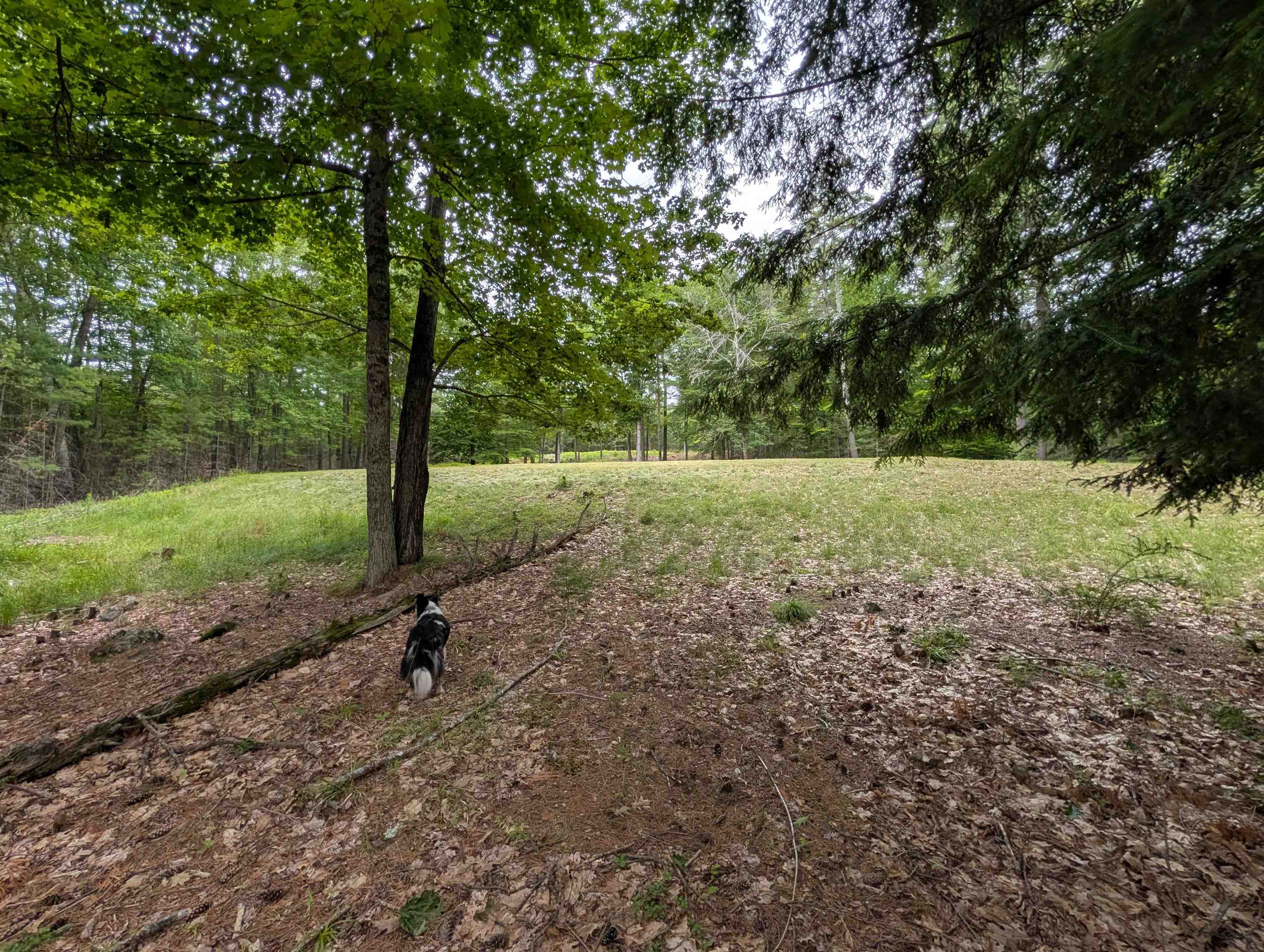 70 High Ridge Road Moultonborough, NH 03254 - Photo 21 of 37