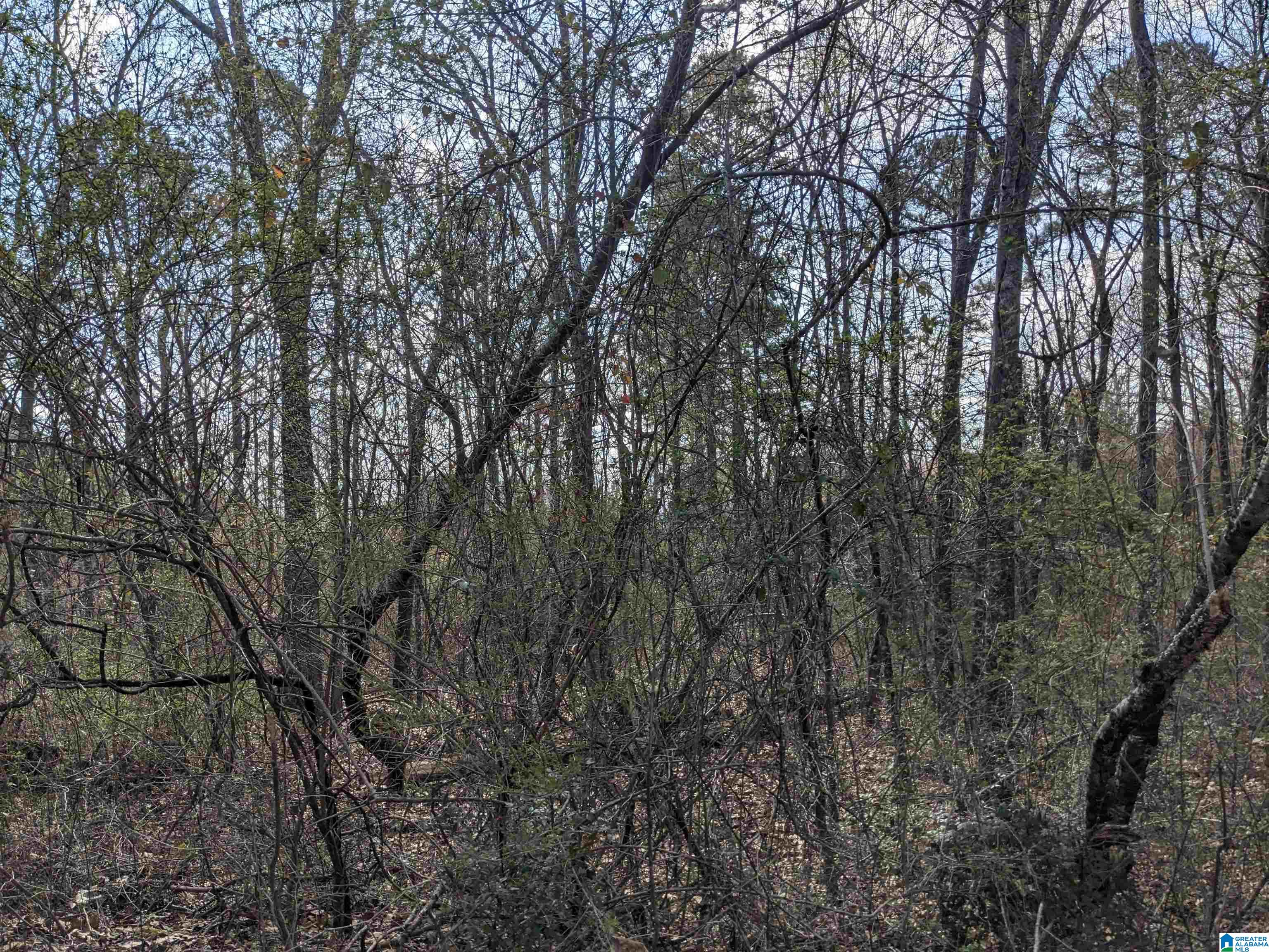 0 Hathaway Heights Road, Unit 2 & 3 Anniston, AL 36207 - Photo 5 of 30