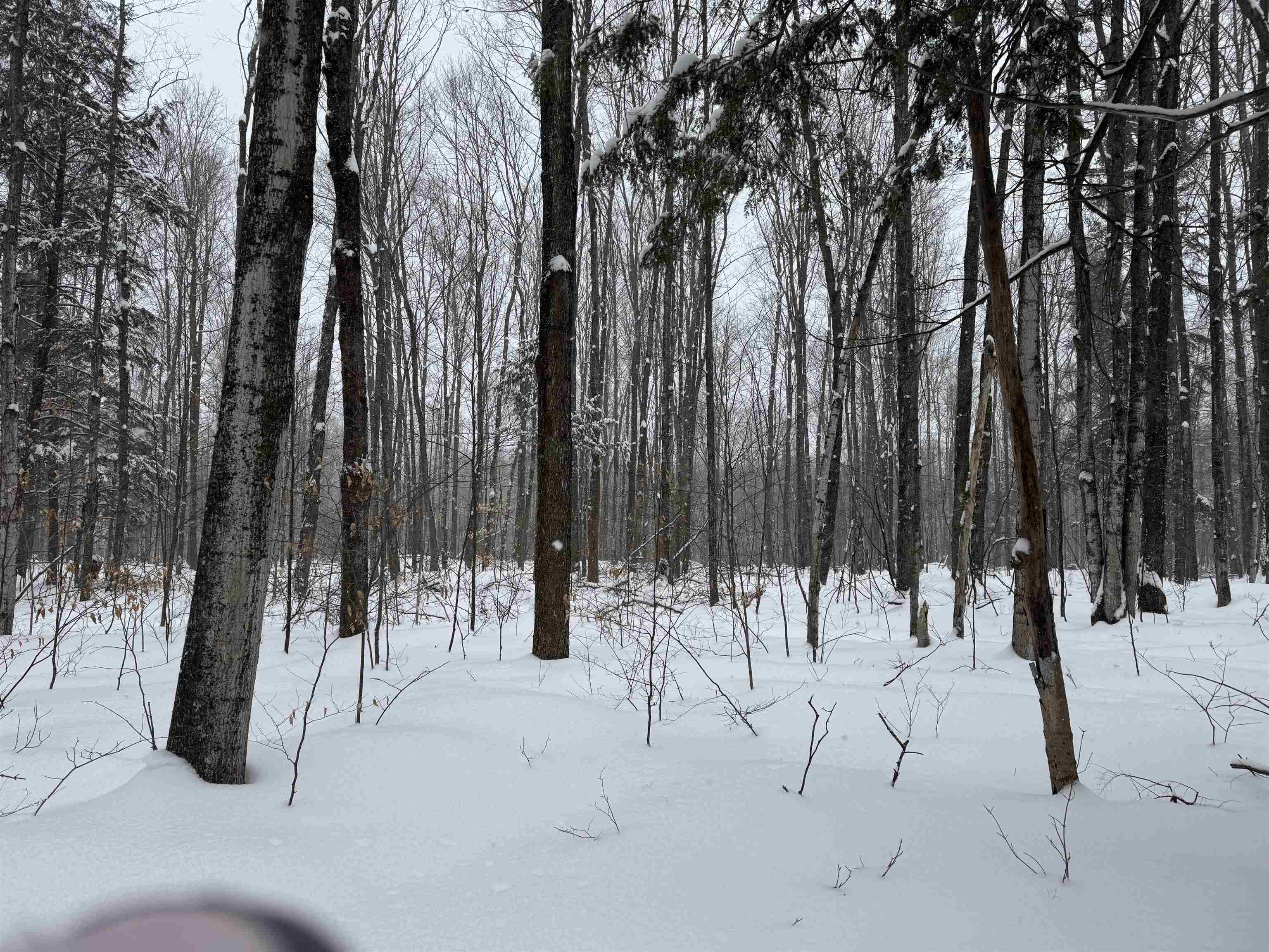 -dreffs Off McCoy Road Gaylord, MI 49735 - Photo 8 of 14