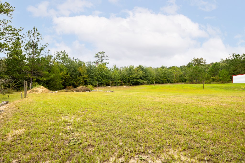 396 Owens Road Fort Mitchell, AL 36856 - Photo 11 of 25
