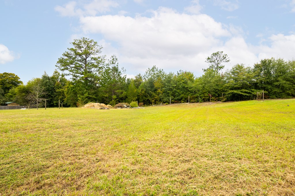 396 Owens Road Fort Mitchell, AL 36856 - Photo 10 of 25