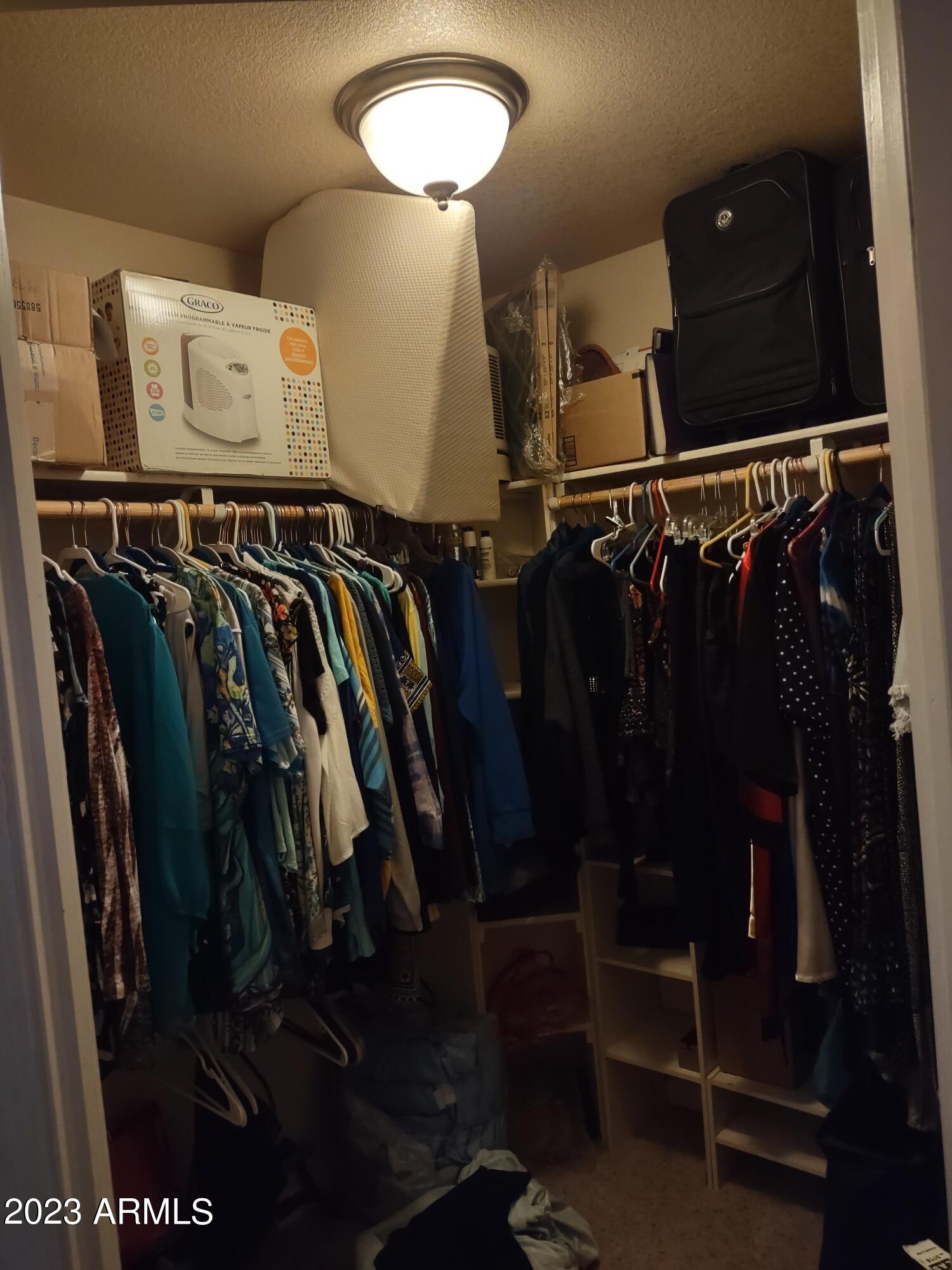 4145 Bluff Road Golden Valley, AZ 86413 - Photo 10 of 16 a close up view of walk in closet