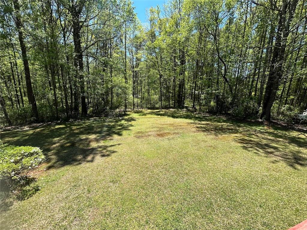 84 Trellis Court Carrollton, GA 30116 - Photo 13 of 45