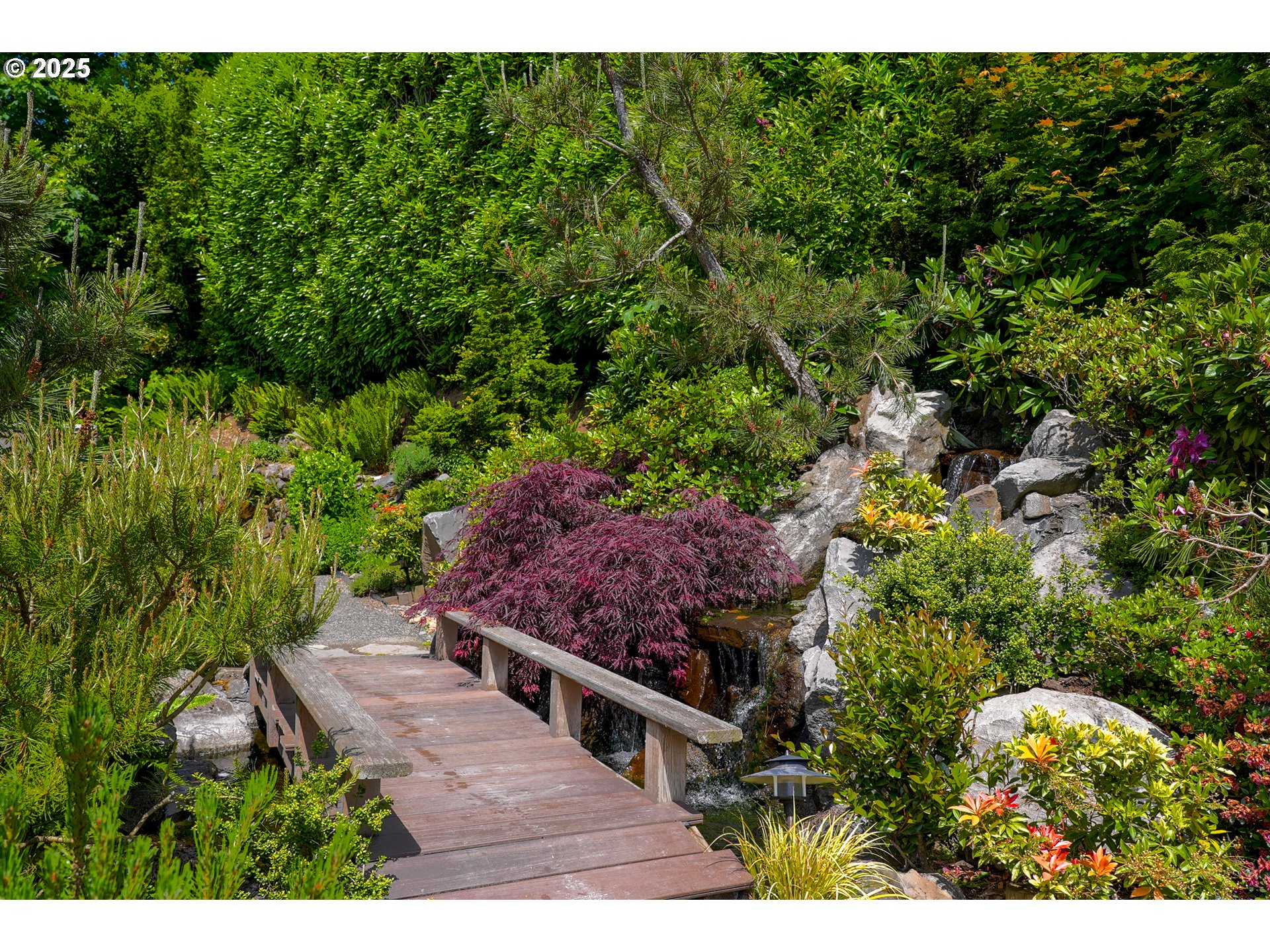 7131 Northwest Penridge Road Portland, OR 97229 - Photo 42 of 43 a view of a backyard with plants