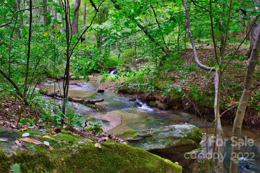0 Desota Ridge, Unit 365 Rutherfordton, NC 28139 - Photo 3 of 11 a backyard of a house with lots of green space
