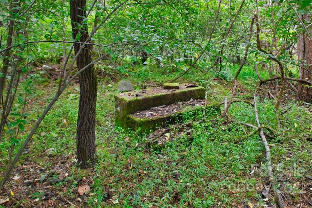 0 Desota Ridge, Unit 365 Rutherfordton, NC 28139 - Photo 7 of 11 a view of a forest with a tree