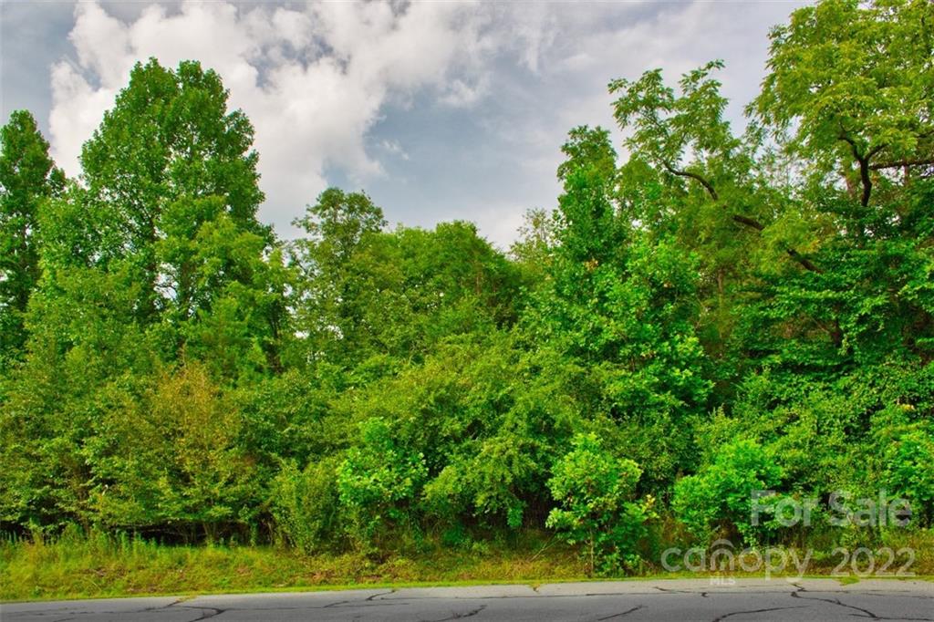 0 Desota Ridge, Unit 365 Rutherfordton, NC 28139 - Photo 9 of 11 a backyard of a house with lots of green space