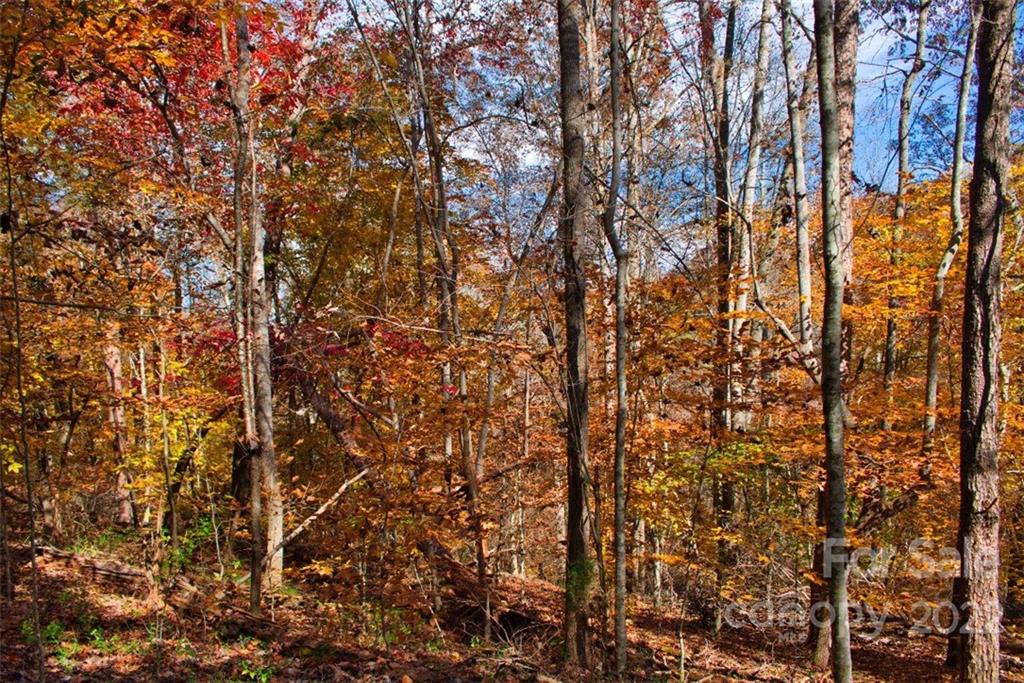 0 Desota Ridge, Unit 365 Rutherfordton, NC 28139 - Photo 10 of 11 a view of covered with green space
