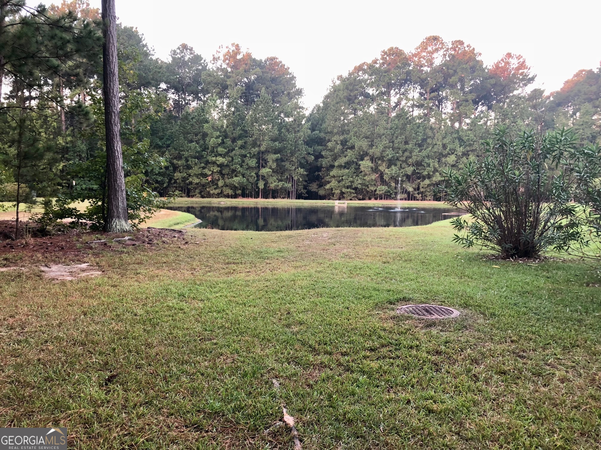 292 Silver Brook Circle Pooler, GA 31322 - Photo 26 of 29