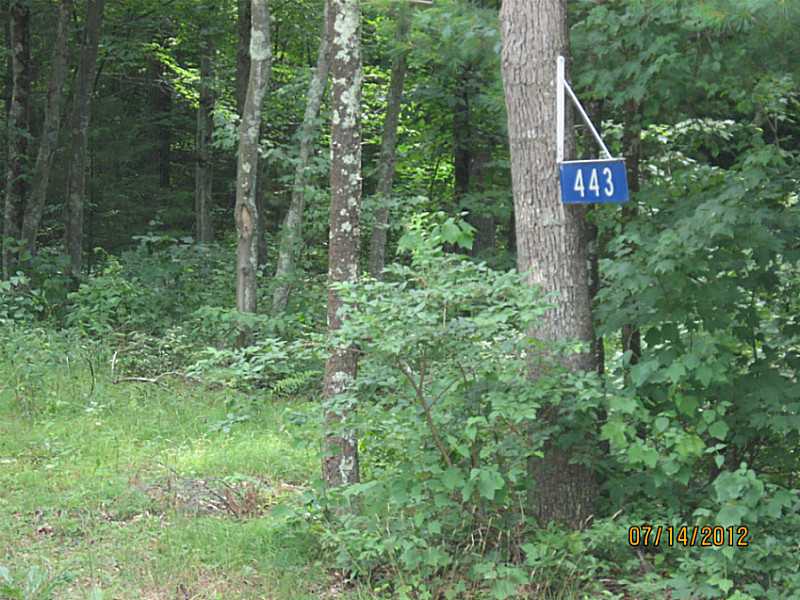443 Sherman Farm Road Burrillville, RI 02830 - Photo 3 of 24 Yard/Garden.