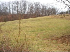 825 Cedar Branch Road Kingsport, TN 37664 - Photo 1 of 6 Photo 1